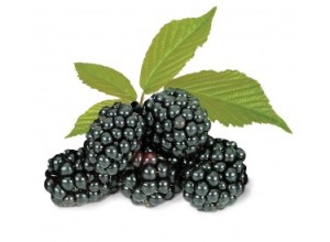 Blackberries